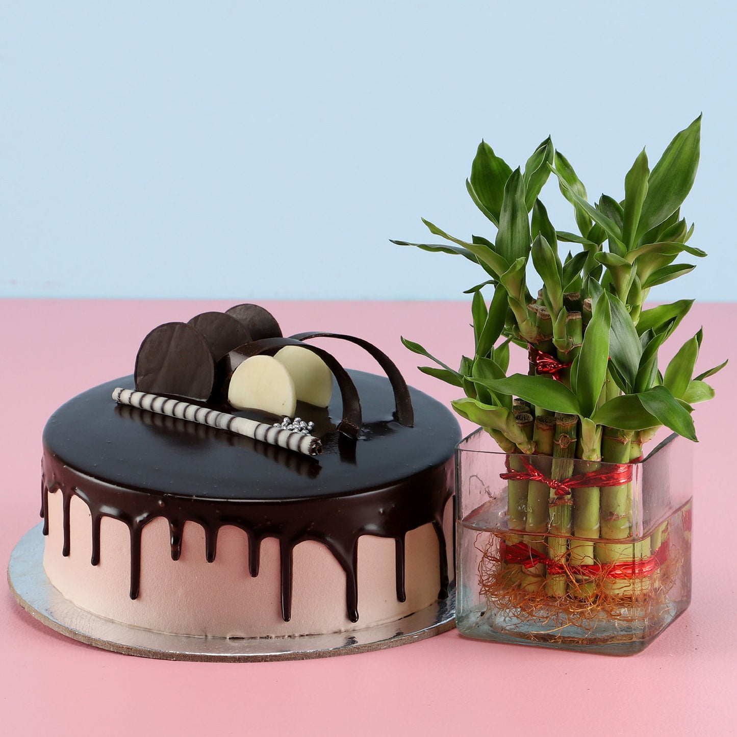 2 Layer Bamboo & Eggless Chocolate Cake