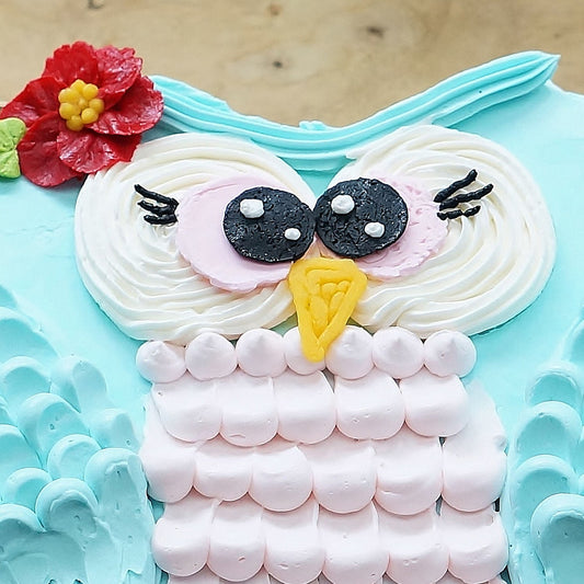 Adorable Owl Cake