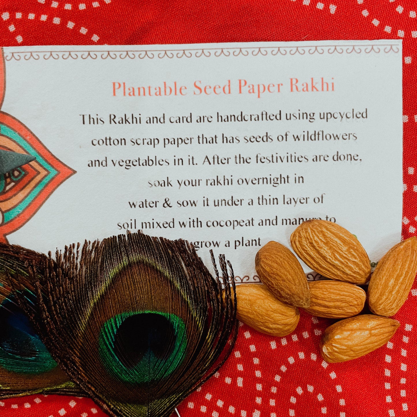 Rose Shaped Plantable Rakhi