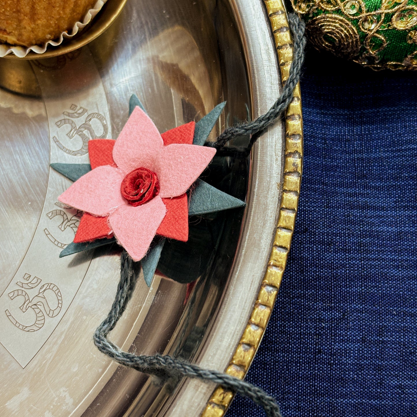 Beautiful Plantable Rakhi Combo