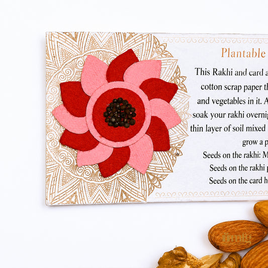 Eco Lotus Red & Pink Handmade Plantable Rakhi