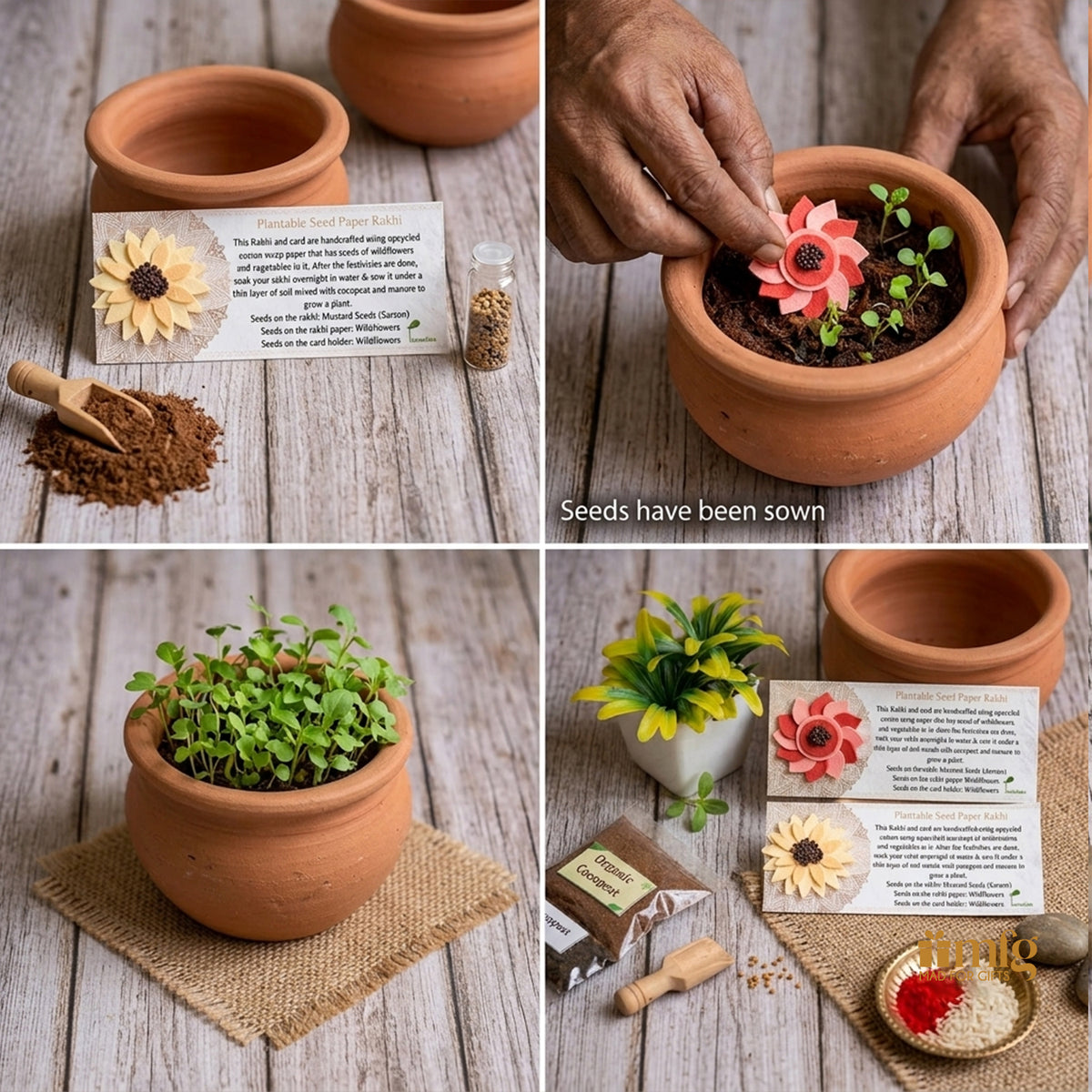 Blossom Duo Plantable Seed Paper Rakhi Set