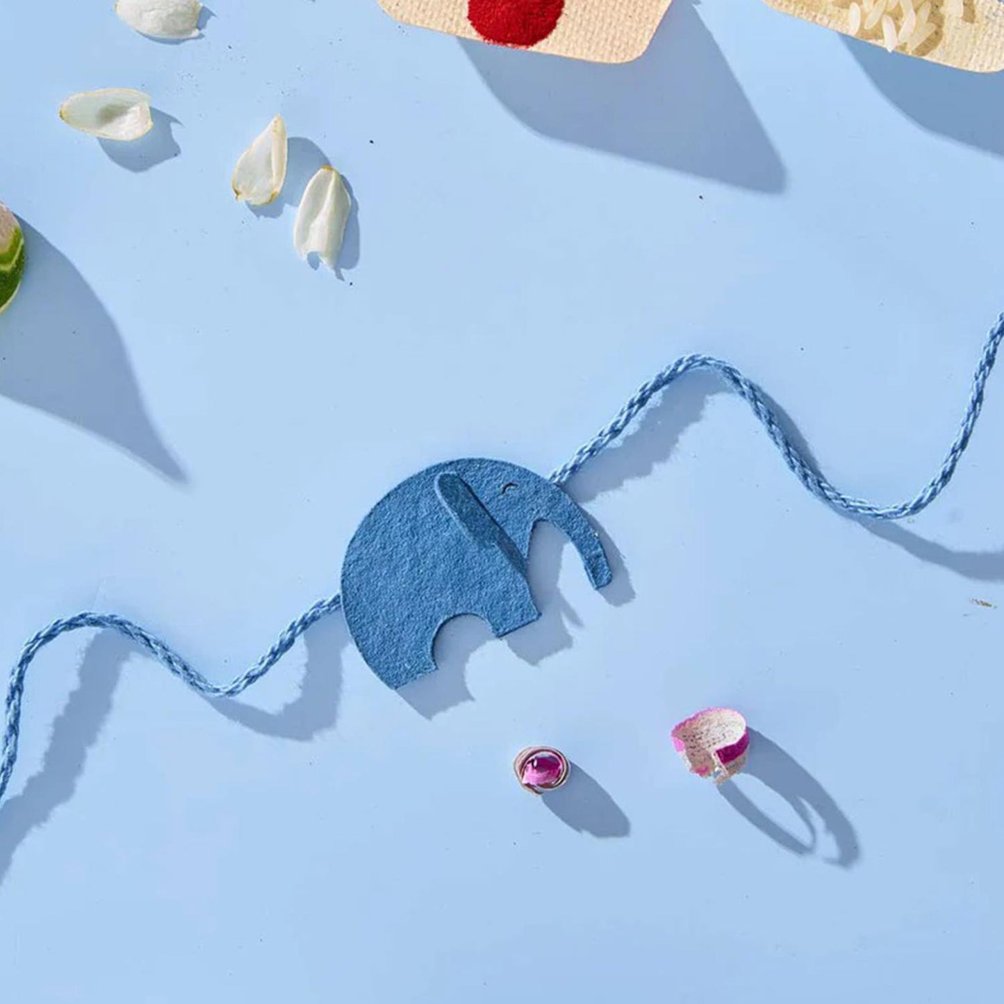 Ellie Belly Plantable Rakhi Set