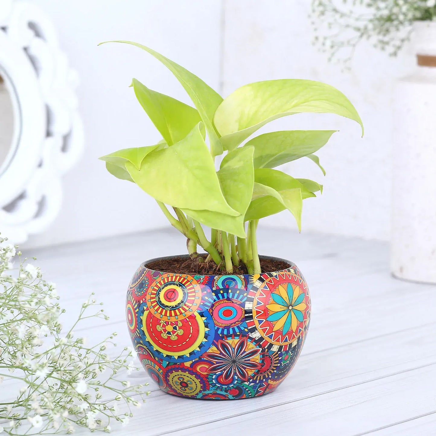 Money Plant In Rajwada Printed Pot