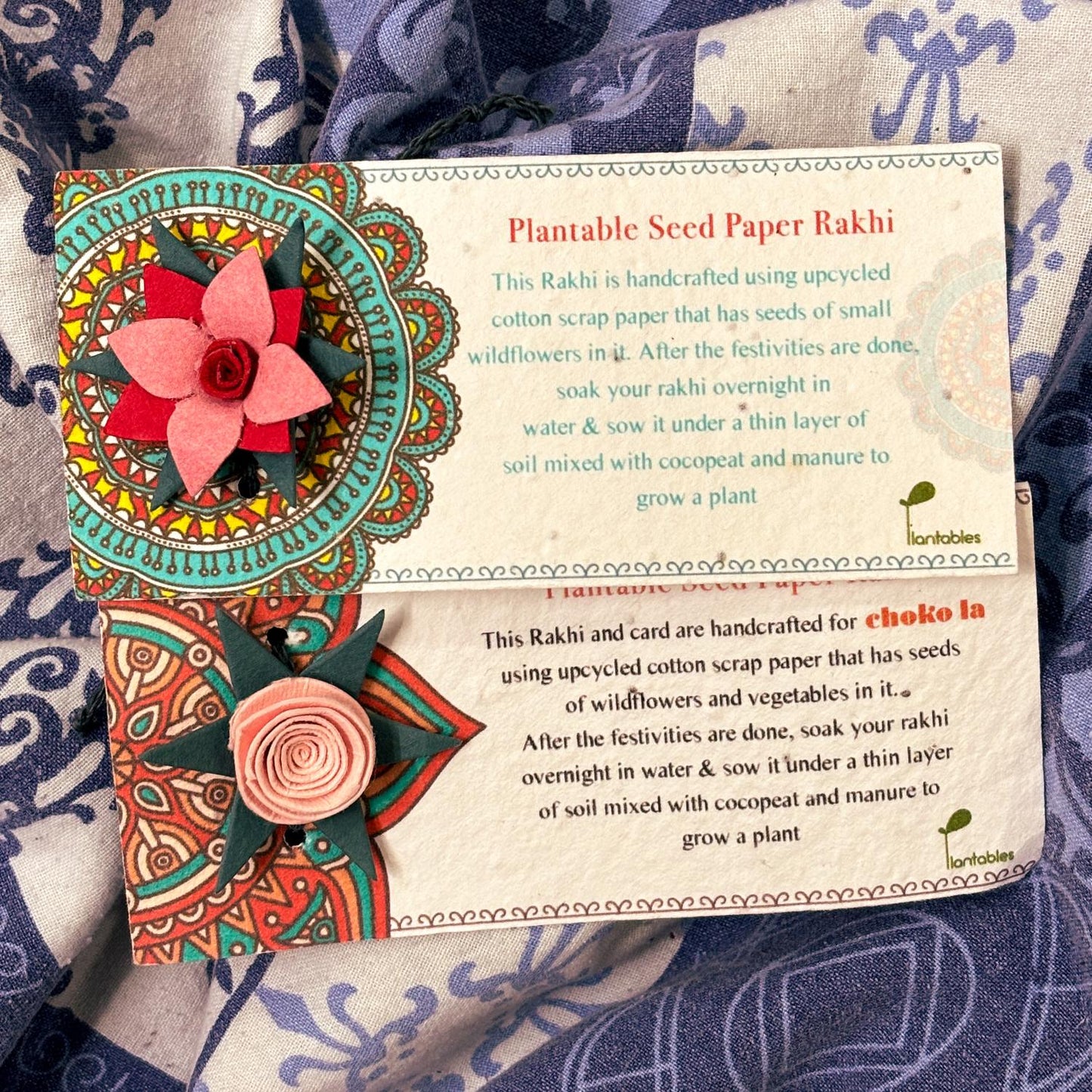 Plantable Rakhi Set of 2