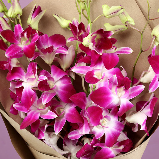 Royal Purple Orchids Bunch