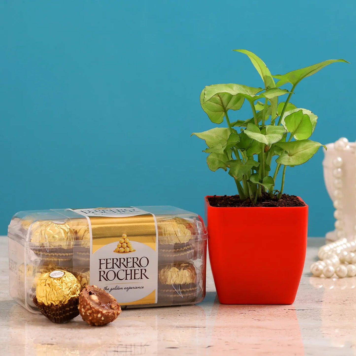 Syngonium Plant And Ferrero Rocher Combo
