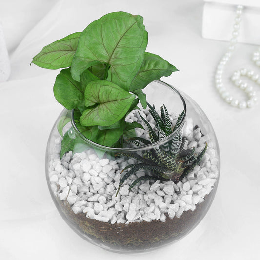 Tranquil Greenery Duo