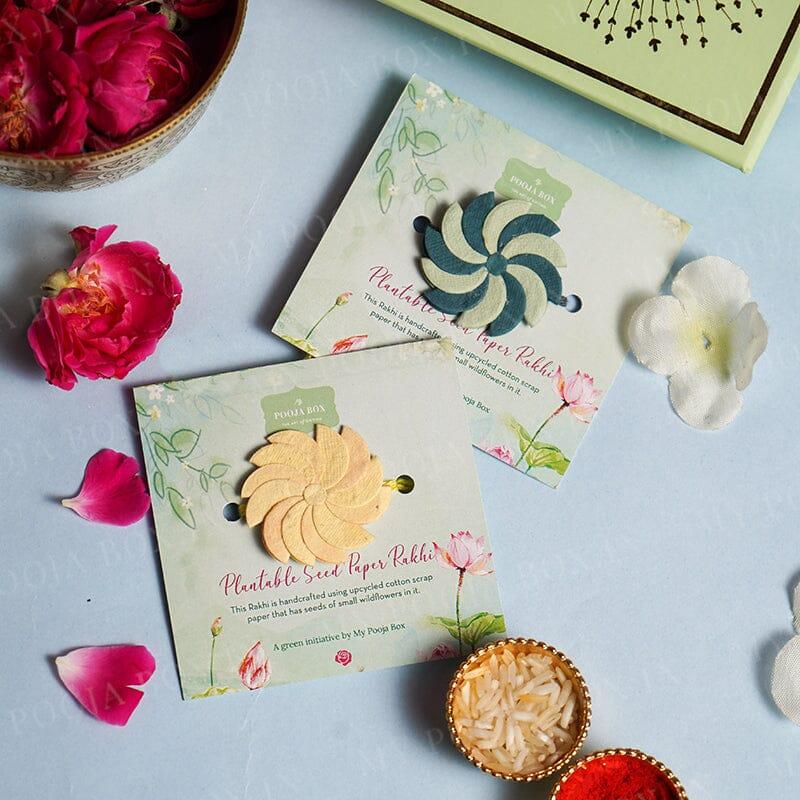 🌱 Plantable Rakhi: A Bond That Grows Forever