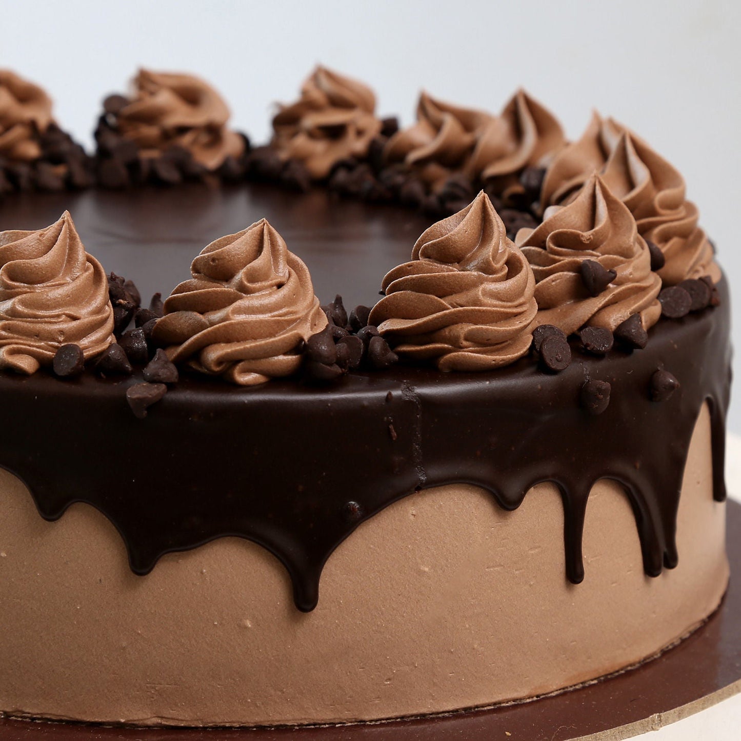 Cream Drop Chocolate Cake