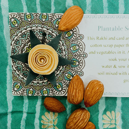 Yellow Rose Plantable Rakhi