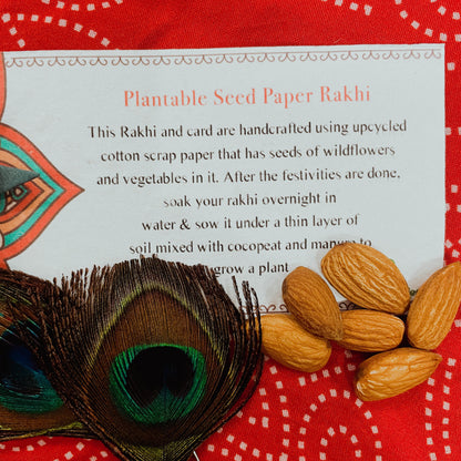Rose Shaped Plantable Rakhi