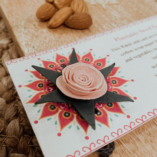 Vibrant Rose Plantable Rakhi Set