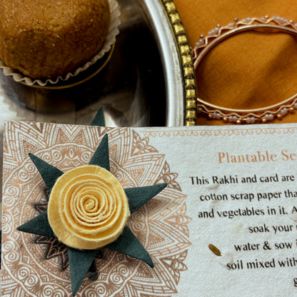 Beautiful Plantable Rakhi Combo