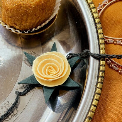 Beautiful Plantable Rakhi Combo