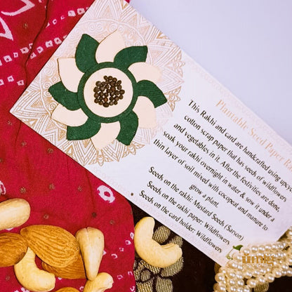 Eco Lotus Green & Cream Handmade Plantable Rakhi