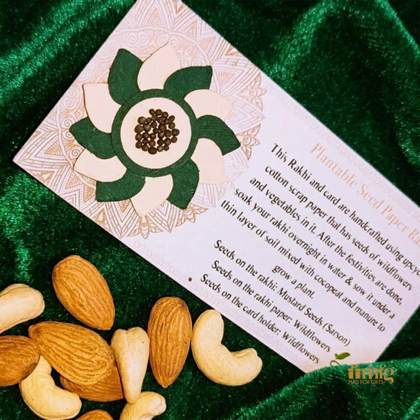 Eco Lotus Green & Cream Handmade Plantable Rakhi