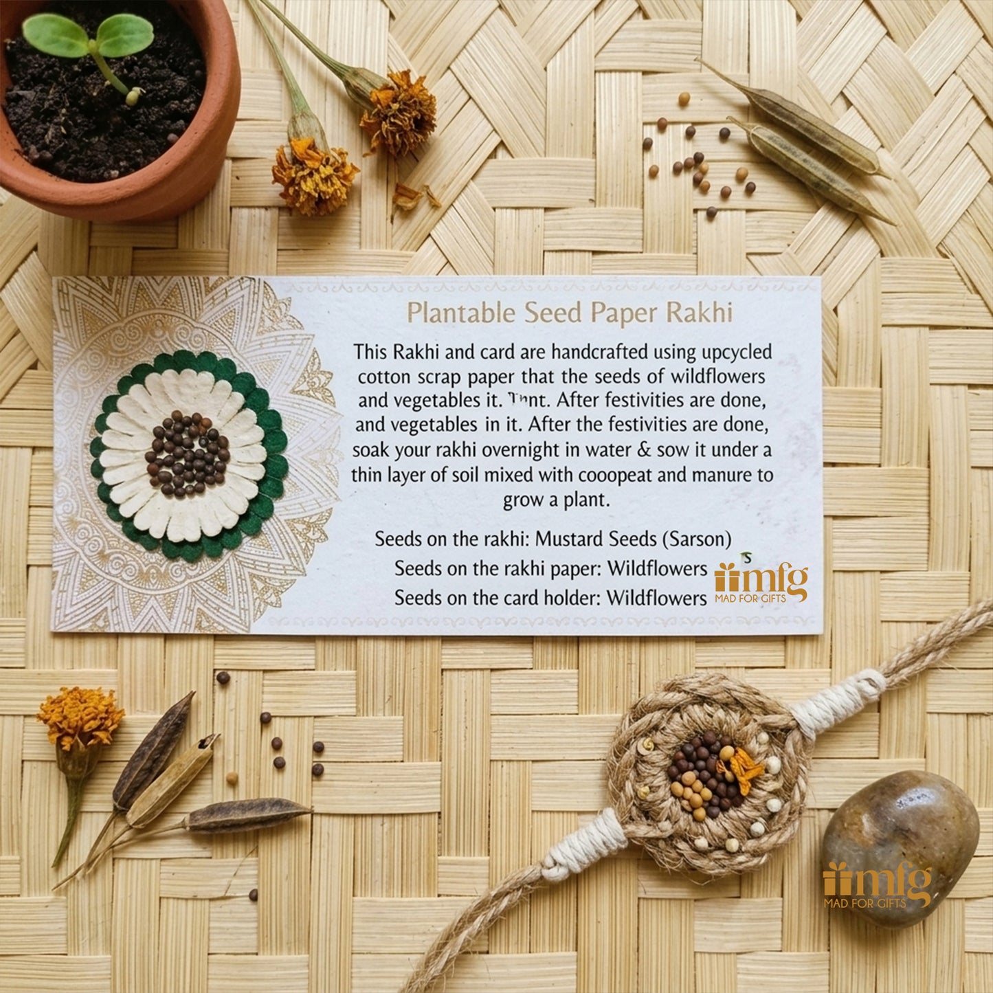 Cream & Green Daisy Seed Paper plantable Rakhi