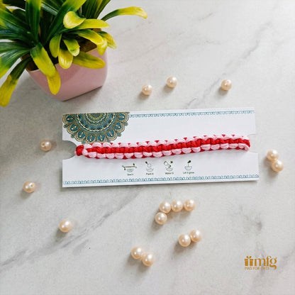 Eco-Friendly Red & Light Pink Braided Seed Rakhi