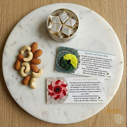 Bloom Together Seed Paper Rakhi Combo