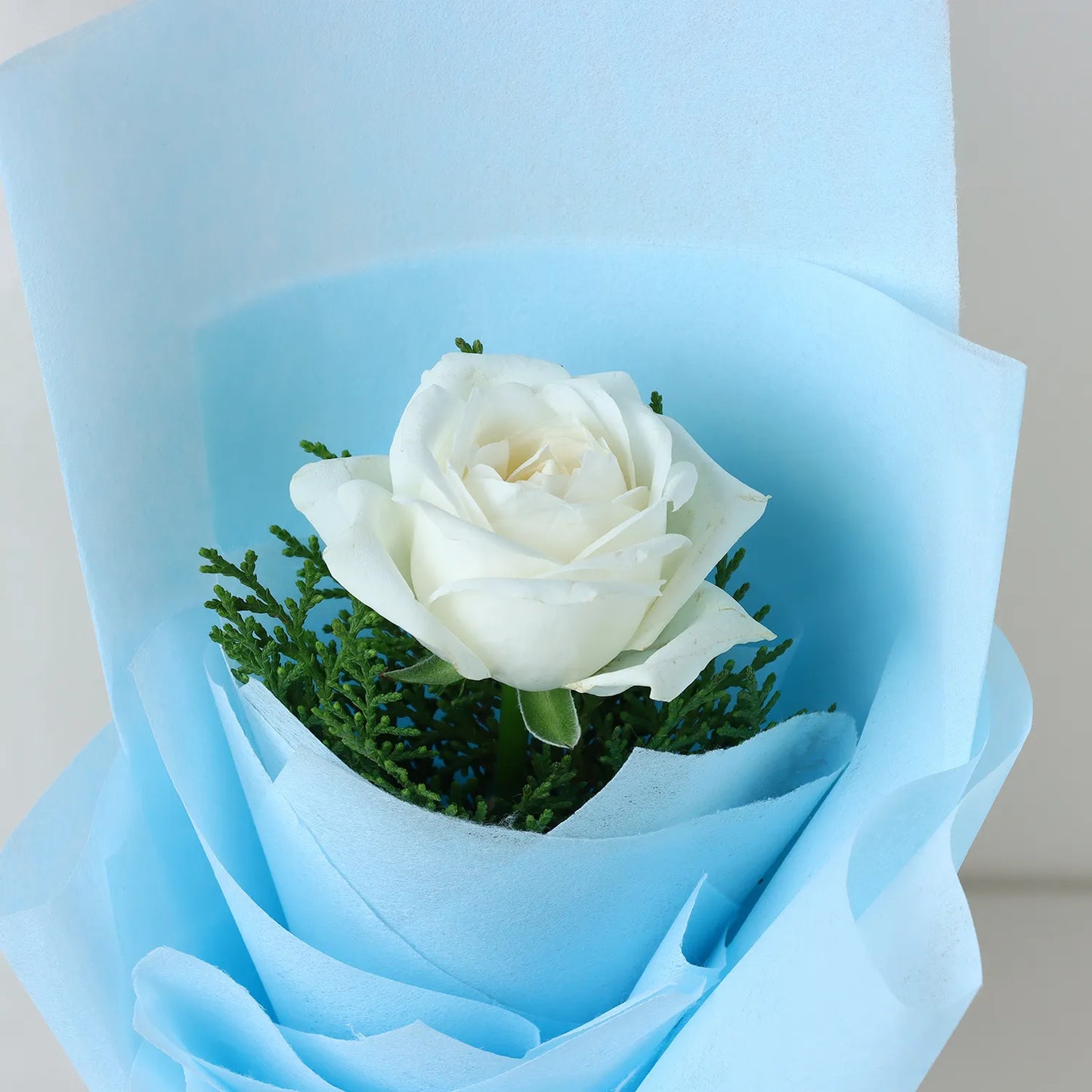 Elegant White Rose Sentiments