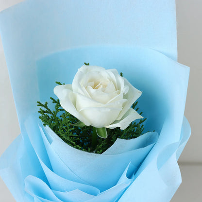 Elegant White Rose Sentiments