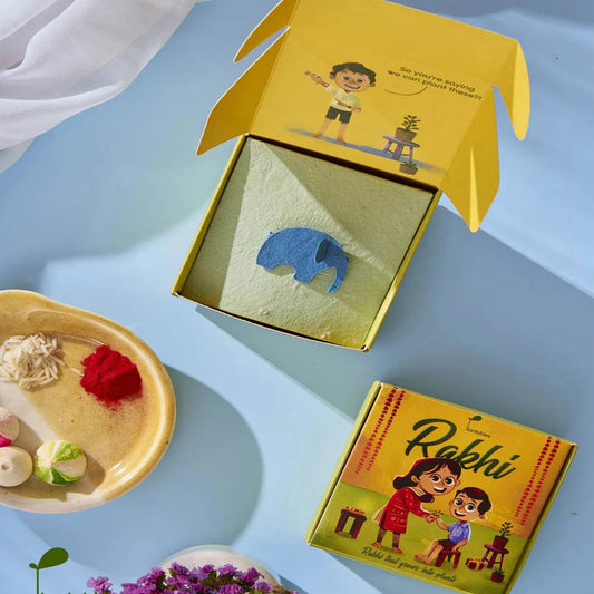 Ellie Belly Plantable Rakhi Set