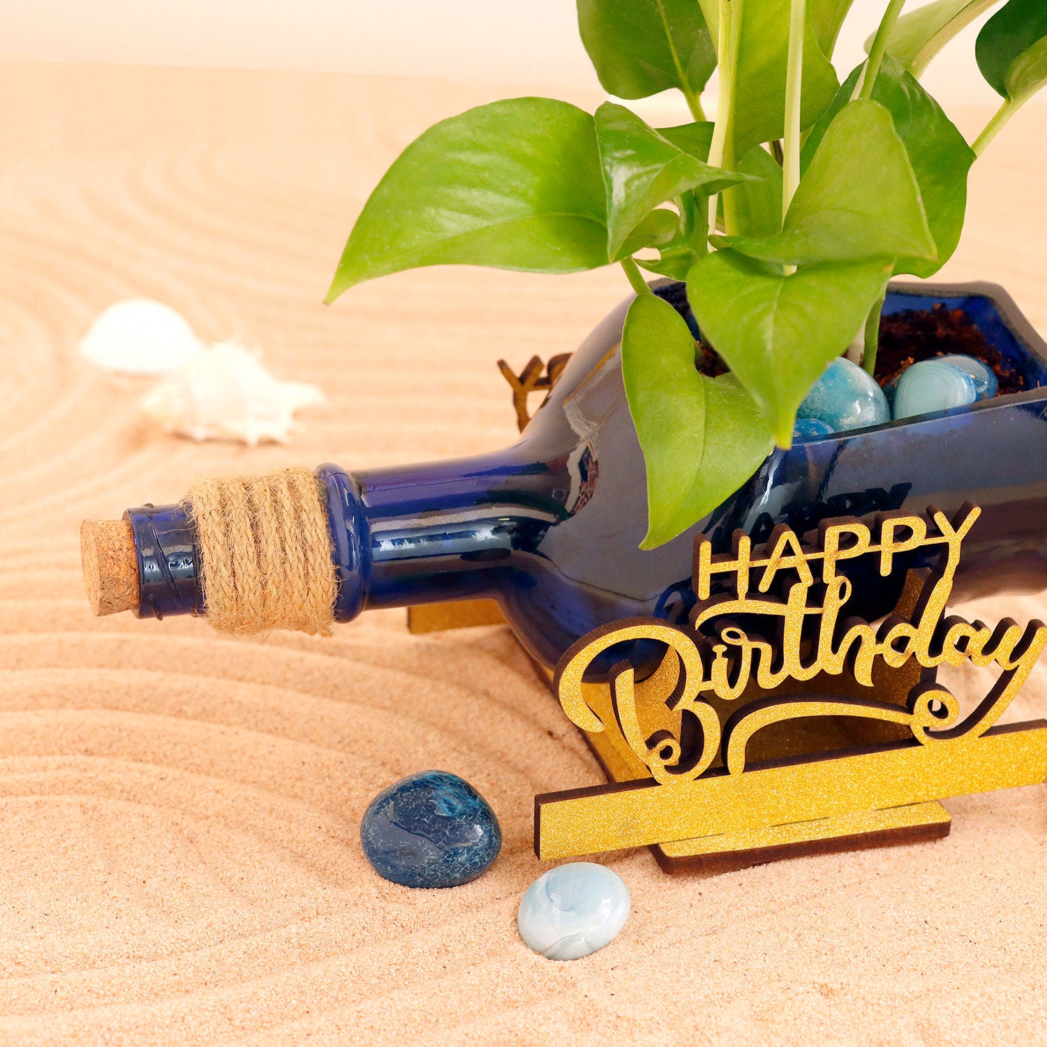 money plant in bottle Happy Birthday Money Plant Antiquity Bottle – Mad For Gifts