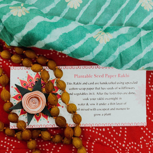 Pink Rose Plantable Rakhi