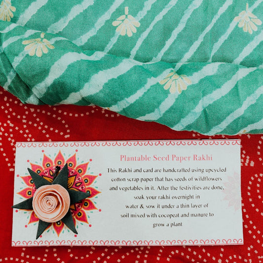Pink Rose Plantable Rakhi