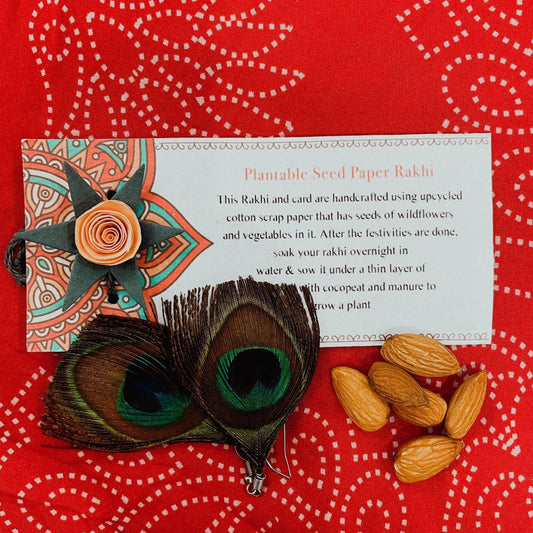 Rose Shaped Plantable Rakhi