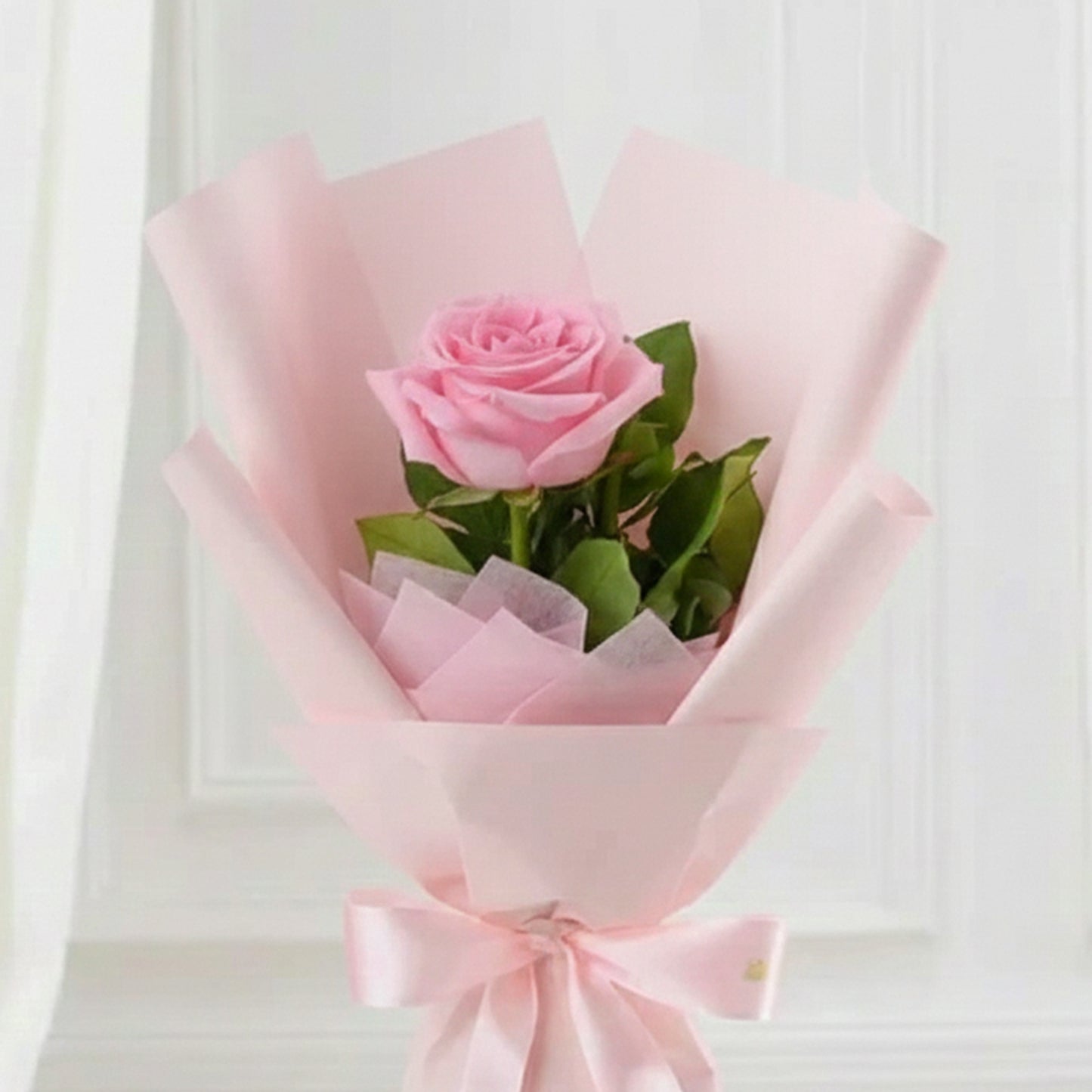 Pink Single Roses Rosy Blooms