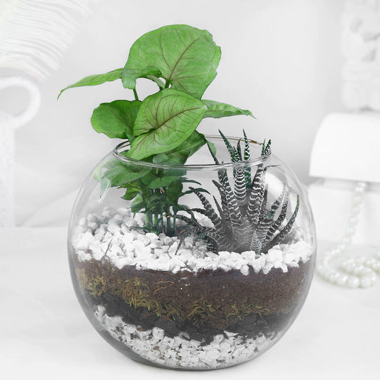Tranquil Greenery Duo
