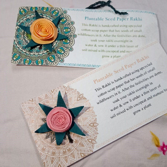 Vibrant Rose Plantable Rakhi Set